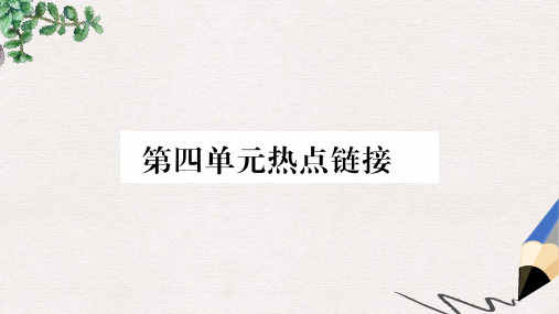 2019年八年级道德与法治上册 第四单元 维护国家利益热点链接习题课件 新人教版