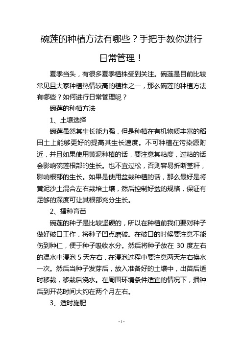 碗莲的种植方法有哪些？手把手教你进行日常管理!