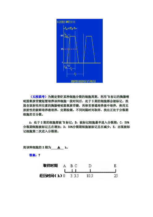 有丝分裂难题