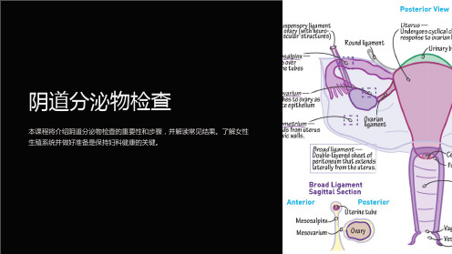 《阴道分泌物检查》课件