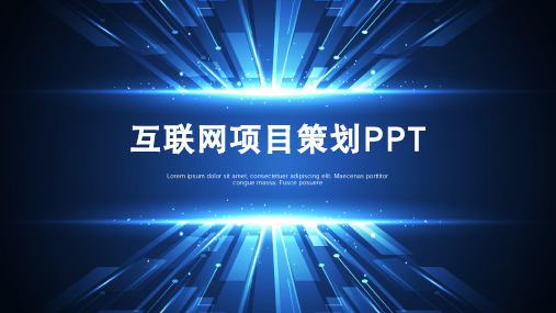 科技风互联网项目策划大数据PPT