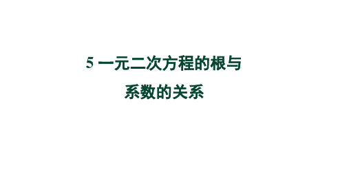 2.5《一元二次方程的根与系数的关系》北师大版九年级上册教学课件1