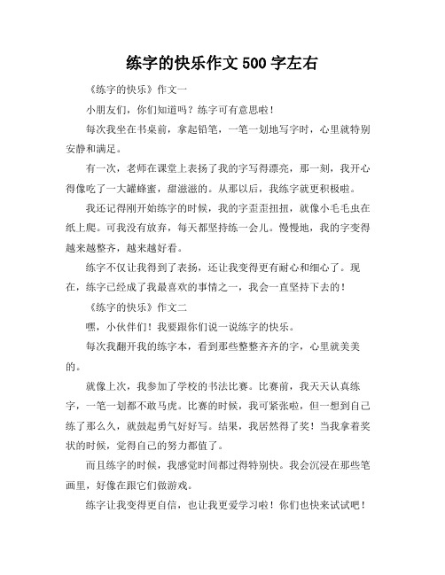 练字的快乐作文500字左右