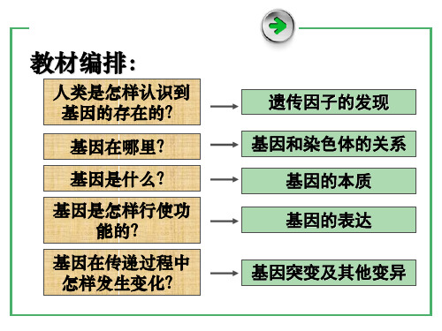 5.1 基因突变和基因重组