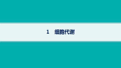 2024届高考二轮复习生物教学课件：细胞代谢