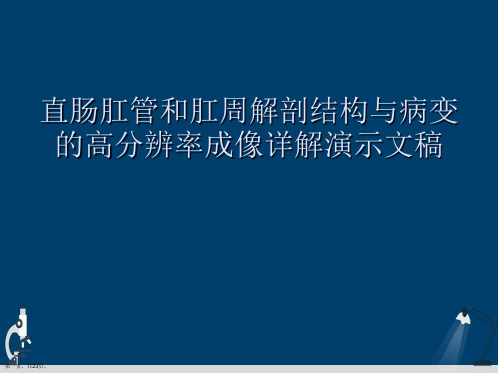 直肠肛管和肛周解剖结构与病变的高分辨率成像详解演示文稿