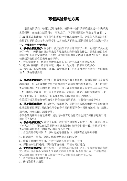 2011年寒假社会实践活动方案