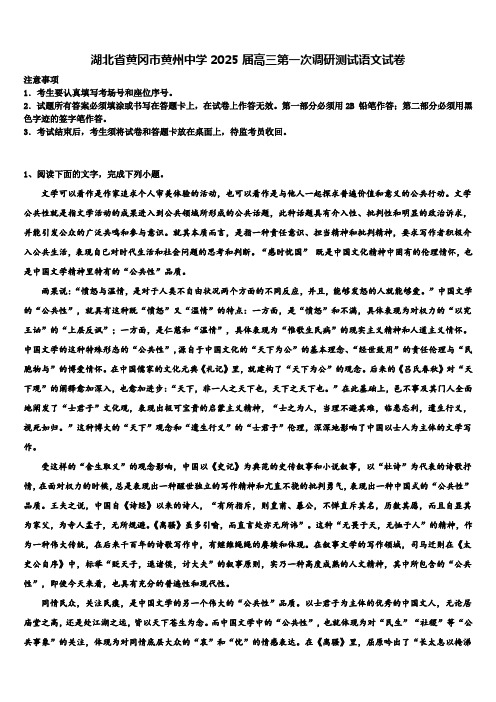 湖北省黄冈市黄州中学2025届高三第一次调研测试语文试卷含解析