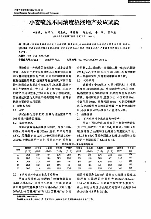 小麦喷施不同浓度沼液增产效应试验