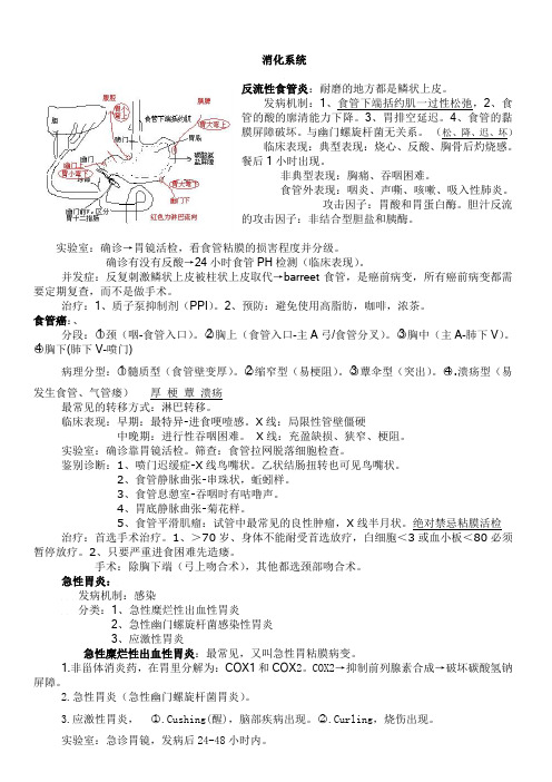 消化系统(执业医师医考笔记)