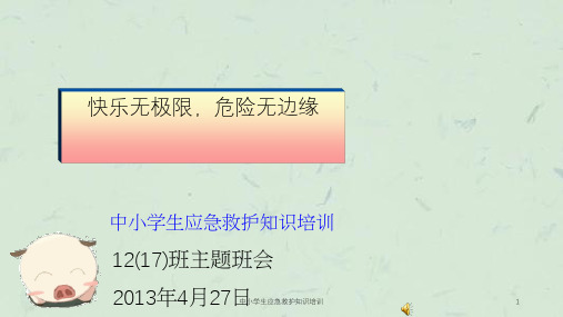 中小学生应急救护知识培训课件