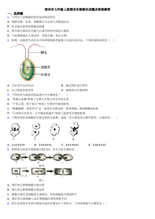 郑州市七年级上册期末生物期末试题及答案解答