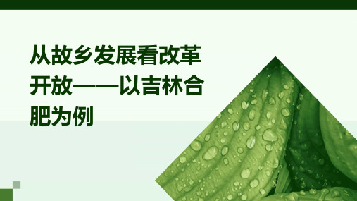 从家乡发展看改革开放以吉林合肥为例课件