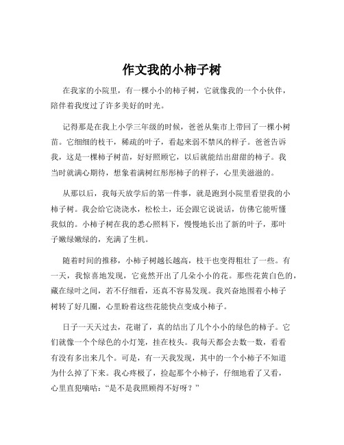 作文我的小柿子树