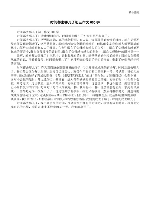 时间都去哪儿了初三作文600字