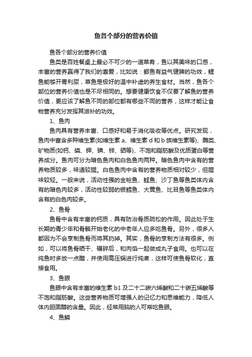 鱼各个部分的营养价值