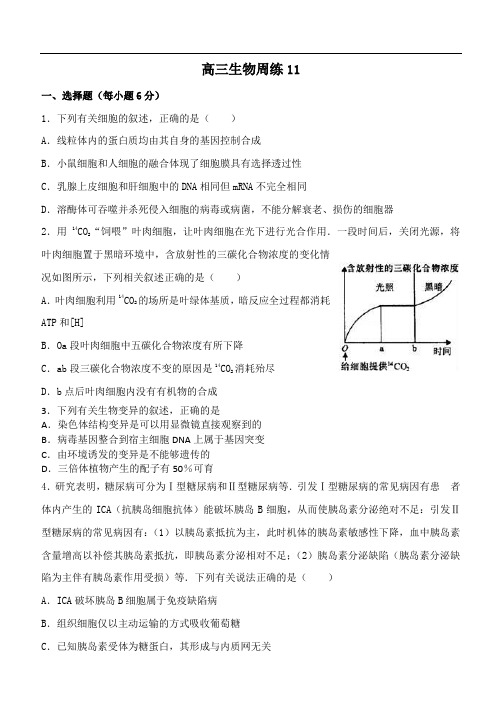 高三生物周练11(理综生物部分)