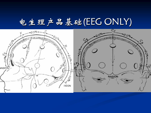 脑电图基础介绍