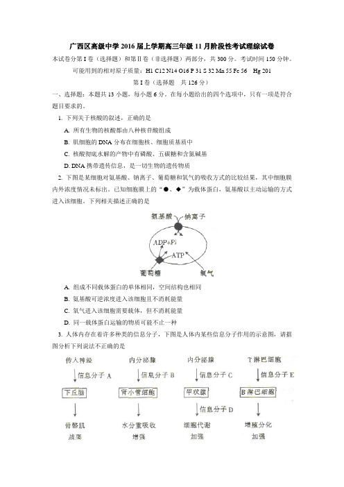 广西区高级中学2016年届上学期高三年级11月阶段性考试理综试卷(1)