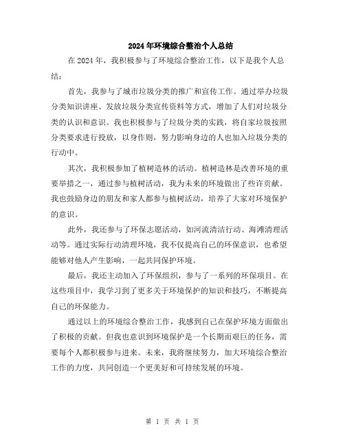 2024年环境综合整治个人总结