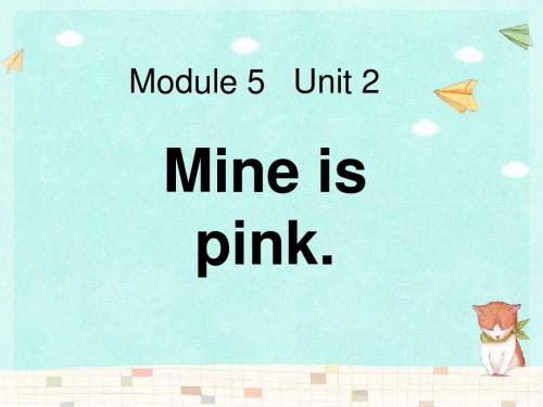 Mine is pink 优秀ppt课件