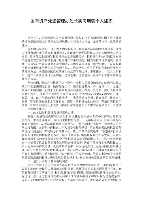 国有资产处置管理办处长实习期满个人述职