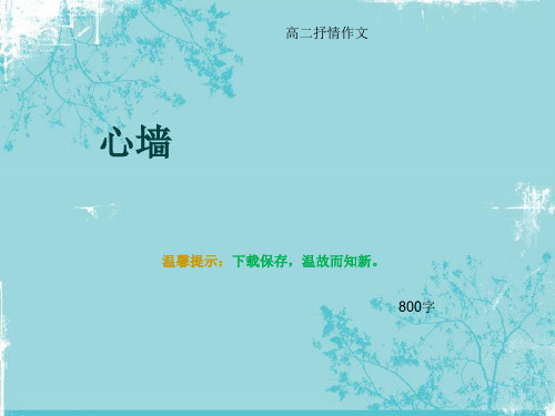 高二抒情作文《心墙》800字