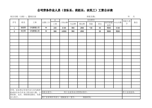工人工资发放公示表