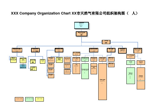 Organization Chart组织机构图模版