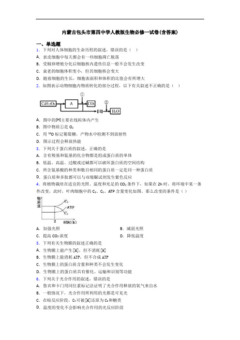 内蒙古包头市第四中学人教版生物必修一试卷(含答案)