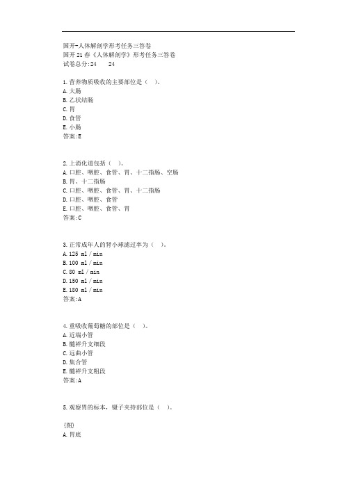 国开-人体解剖学形考任务三答卷