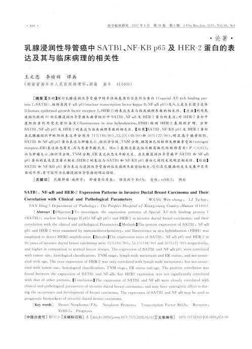 乳腺浸润性导管癌中SATB1、NF-κB p65及HER-2蛋白的表达及其与临床病理的相关性