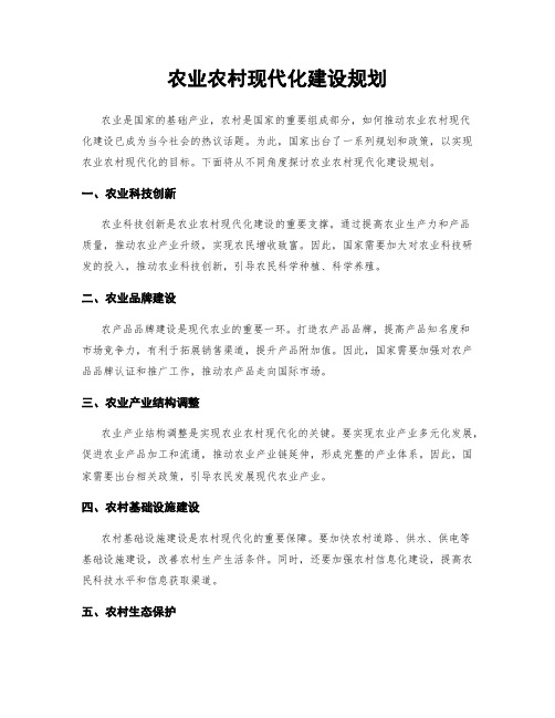 农业农村现代化建设规划