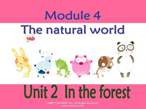 牛津深圳版小学二年级英语上册《Unit 11 In the forest》公开课课件
