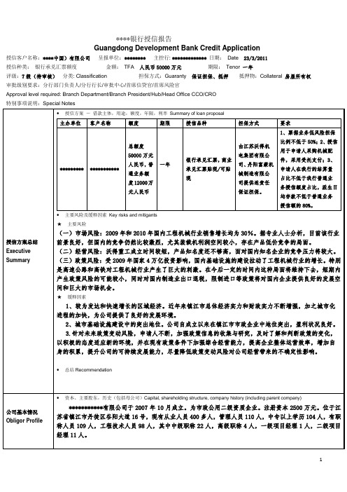 某银行授信报告