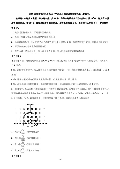 2018届湖北省武汉市高三下学期五月理综训练物理试题(解析版)