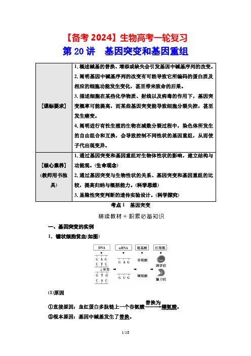 【备考2024】生物高考一轮复习：第20讲 基因突变和基因重组