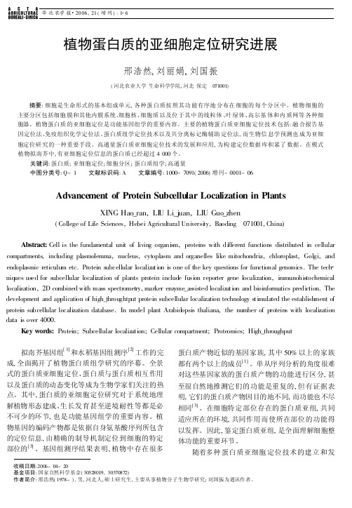 植物蛋白质的亚细胞定位研究进展