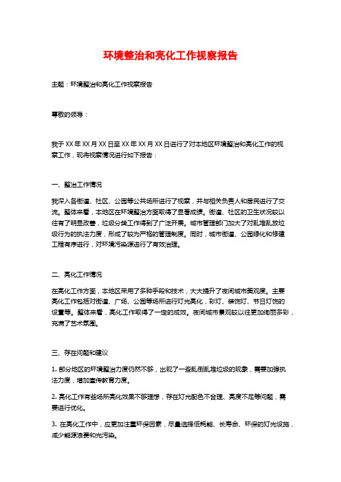 环境整治和亮化工作视察报告