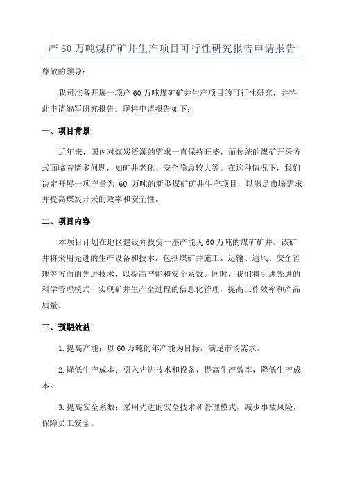 产60万吨煤矿矿井生产项目可行性研究报告申请报告