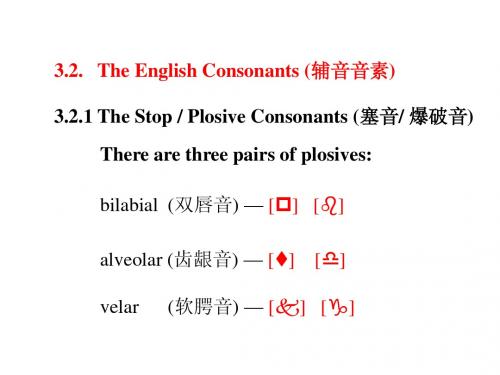 英语语音Chapter 3-4 English Sounds in Isolation(Consonants)