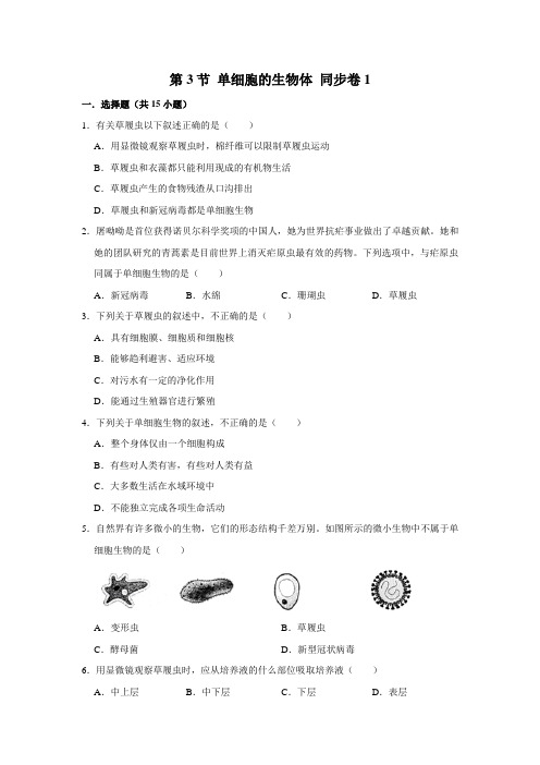 苏教版生物七年级下册单细胞的生物体