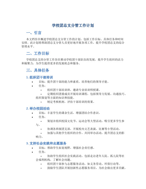 学校团总支分管工作计划