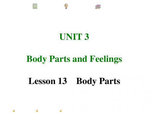 2017-2018学年冀教版七年级英语上册课件：Lesson 13Body Parts (共19张PPT)