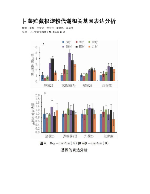 甘薯贮藏根淀粉代谢相关基因表达分析