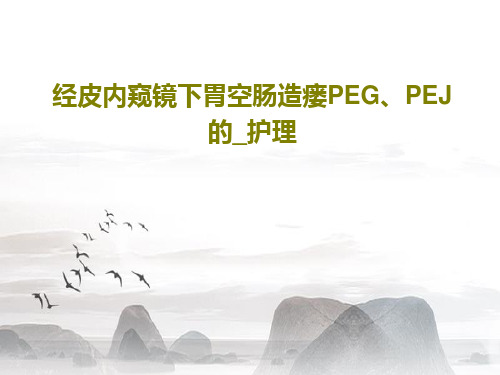 经皮内窥镜下胃空肠造瘘PEG、PEJ的_护理共46页