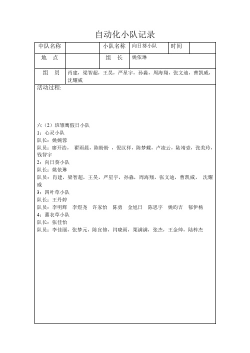 雏鹰假日小队记录表