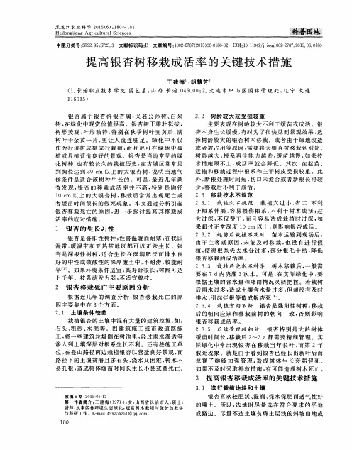 提高银杏树移栽成活率的关键技术措施