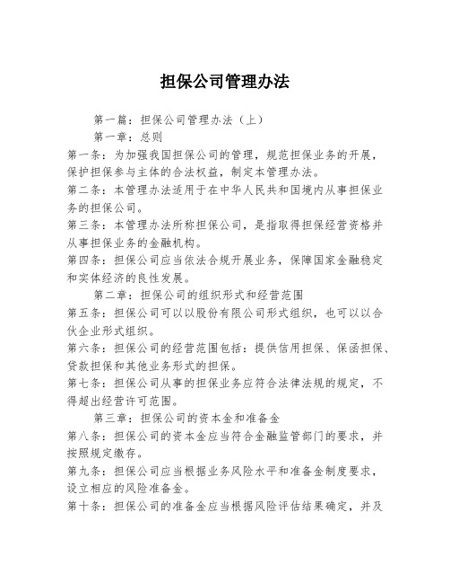 担保公司管理办法