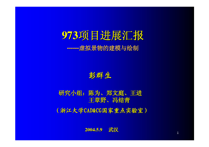 973973项目进展汇报项目进展汇报